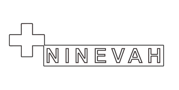 NoHo Store logo